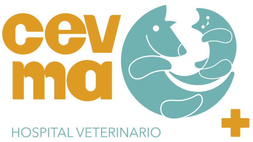Logotipo oficial de CEVMA Hospital Veterinario en formato PNG transparente con letras color ocre y un icono circular verde menta de un perro y un gato.